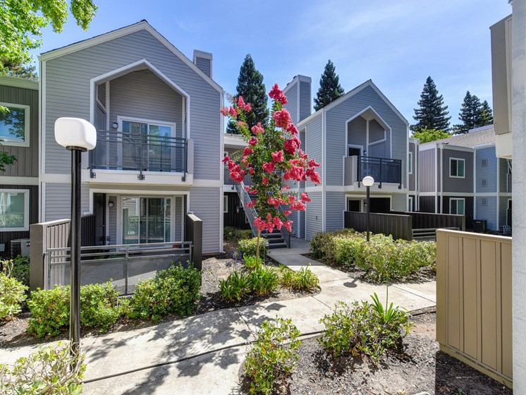 Property Grounds with Walkway, Bushes and Street Lamps